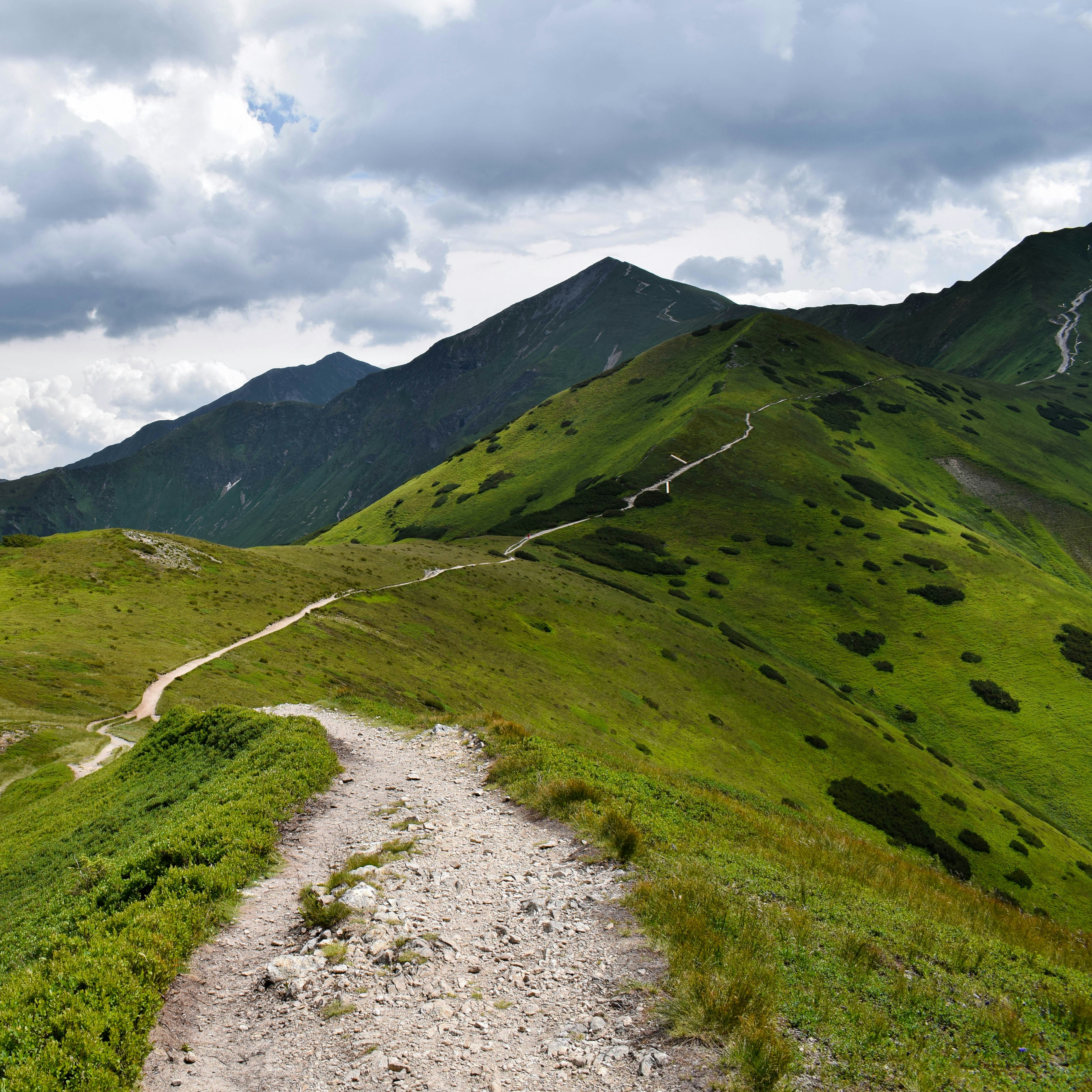 green grass field and mountain under white clouds